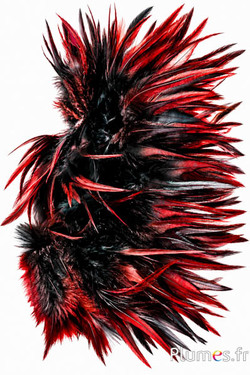 Haan - 10-15 cm -  rood